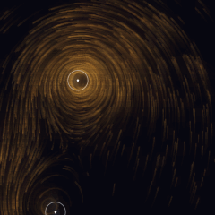 Plate 115, Lamb–Oseen Vortices: a still of the ode / point vortices plate as the atlas renders it, in the fields accent.